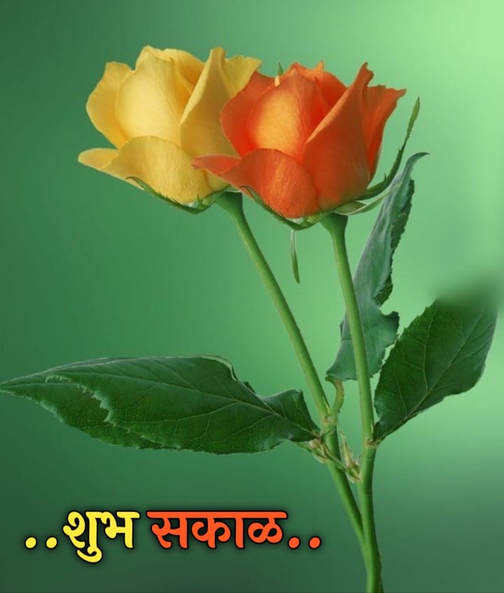 Shubh Sakal Flower Images