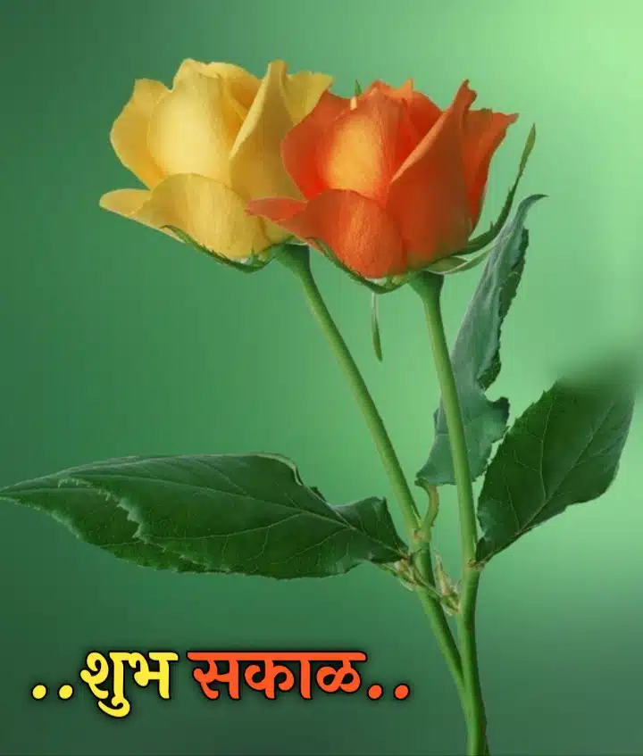 Shubh Sakal Flower Images