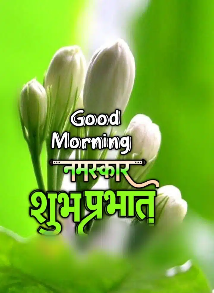 Good Morning Shubh Sakal Flower Images