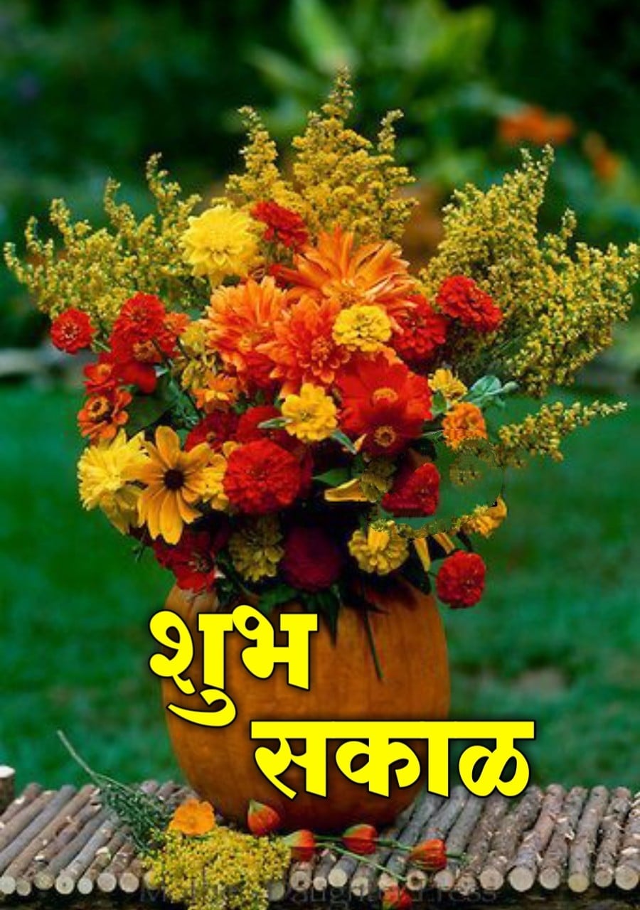 Shubh Sakal Flower Images