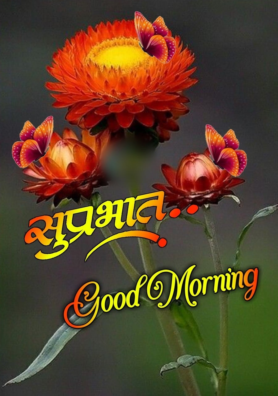 suprabhat flower