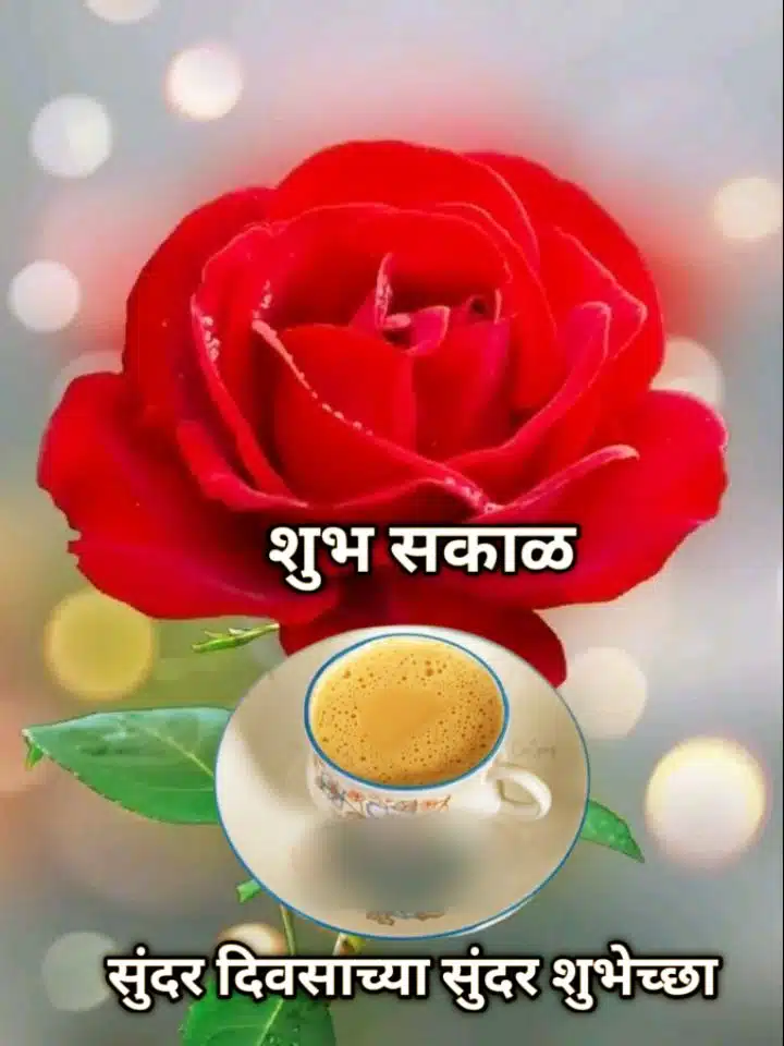 Shubh Sakal Rose Images, Shubh Sakal rose