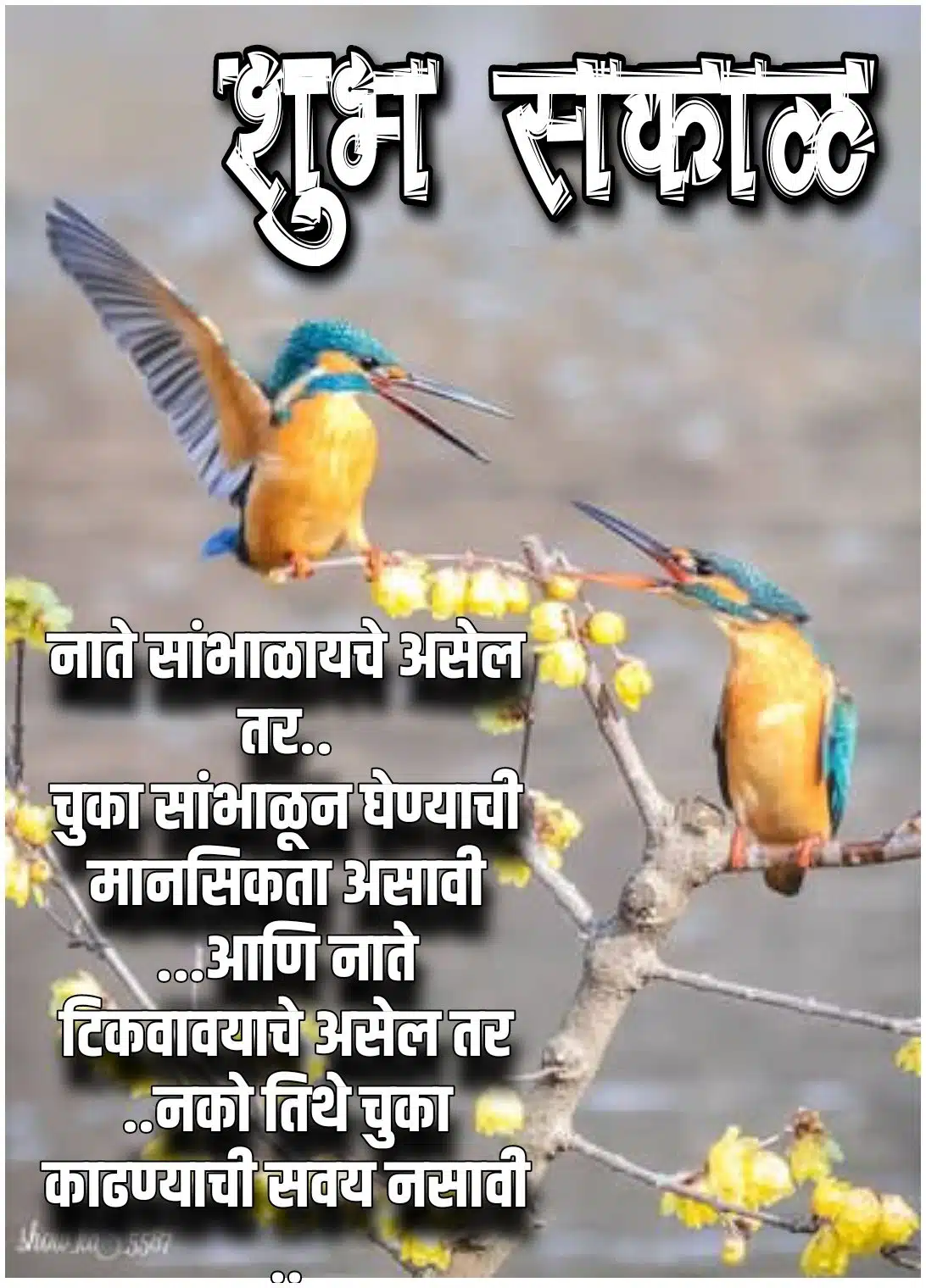 Meaningful Relationship Good Morning Message In Marathi