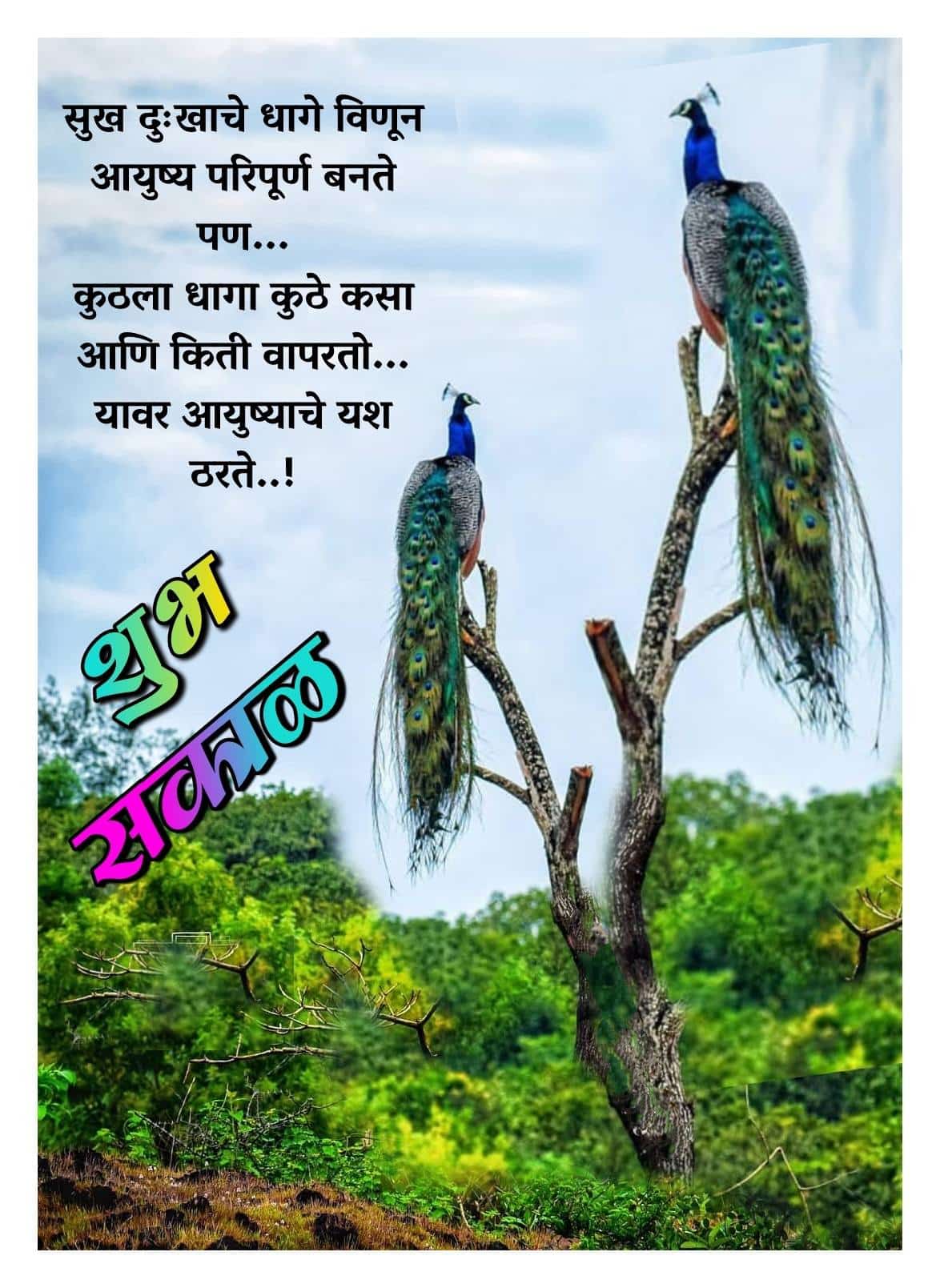 Life Good Morning Quotes In Marathi