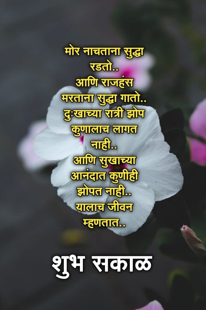 Good Morning Life Quotes In Marathi