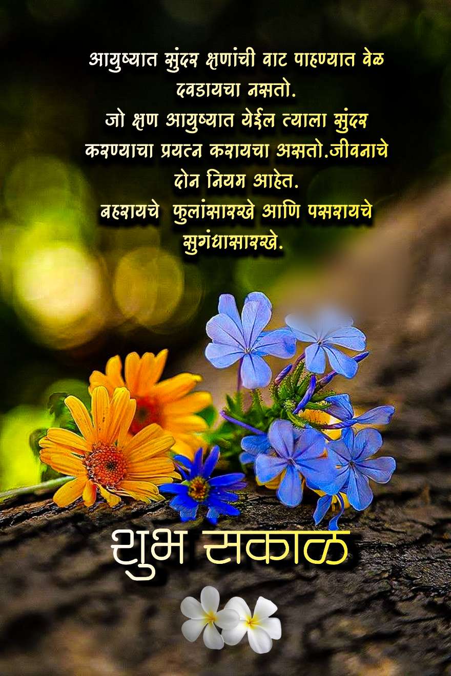 Good Morning Life Quotes In Marathi