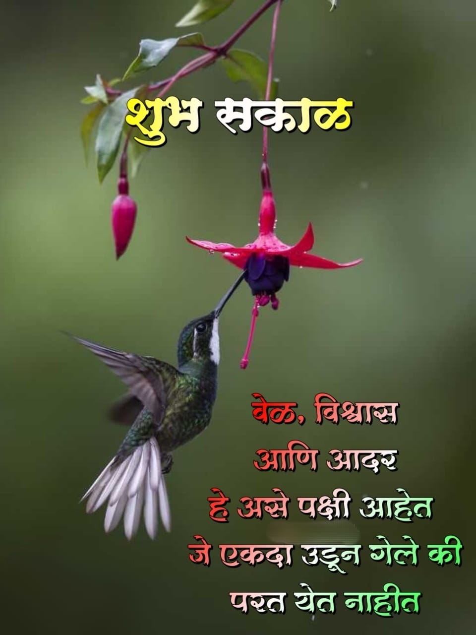 Good Morning Life Quotes In Marathi