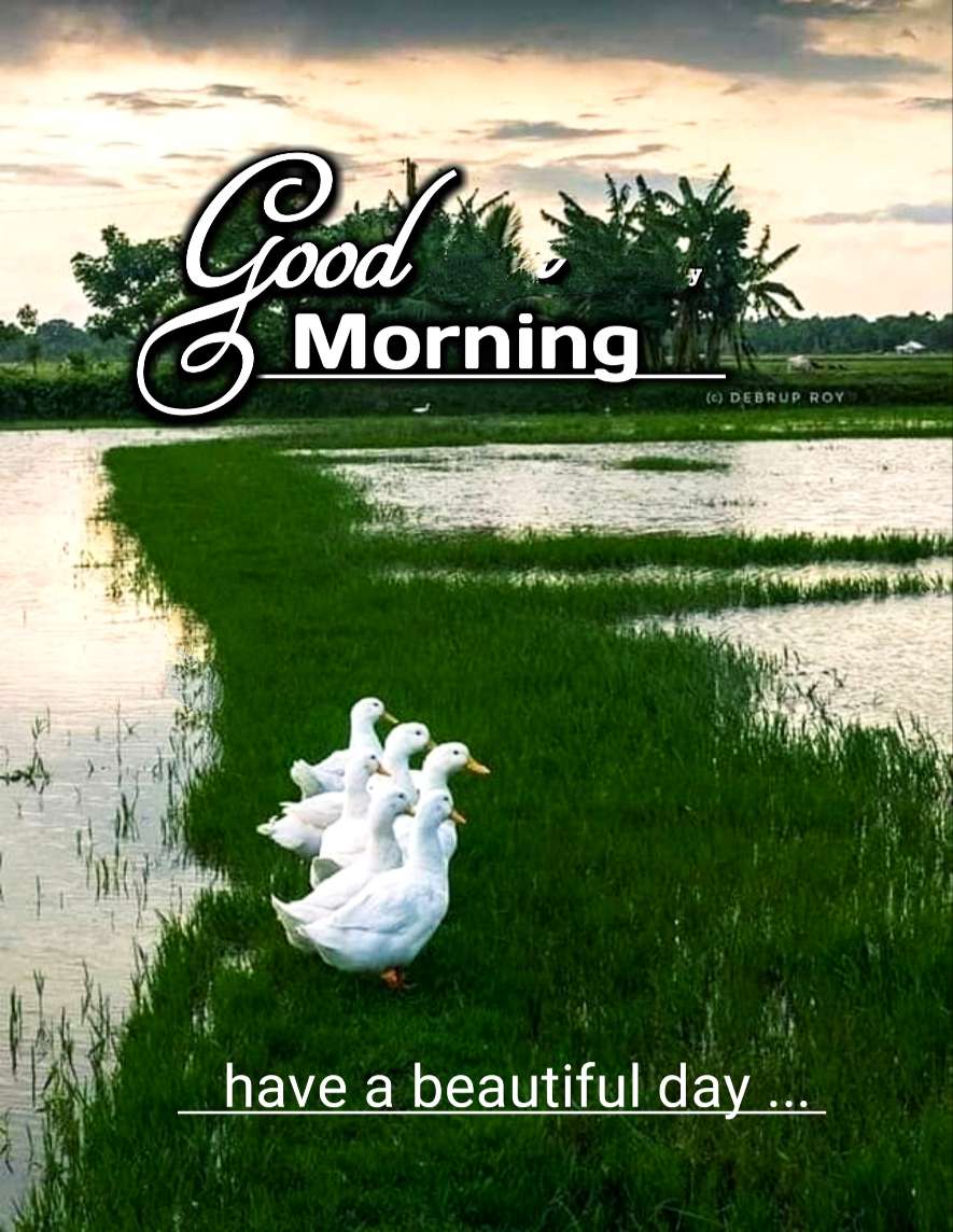 Nature good Morning Marathi ,