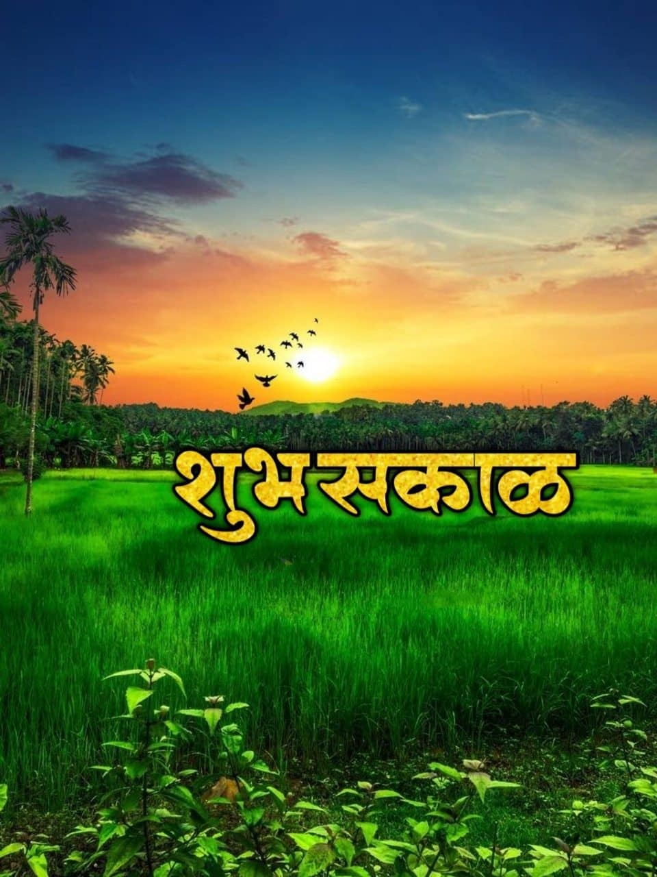 Shubh Sakal Nature Images