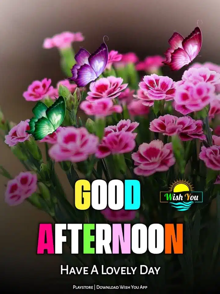 good afternoon flower images