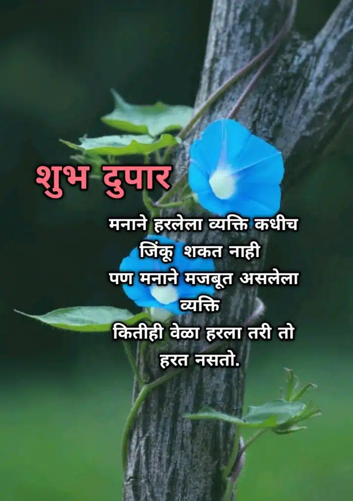 good afternoon marathi message