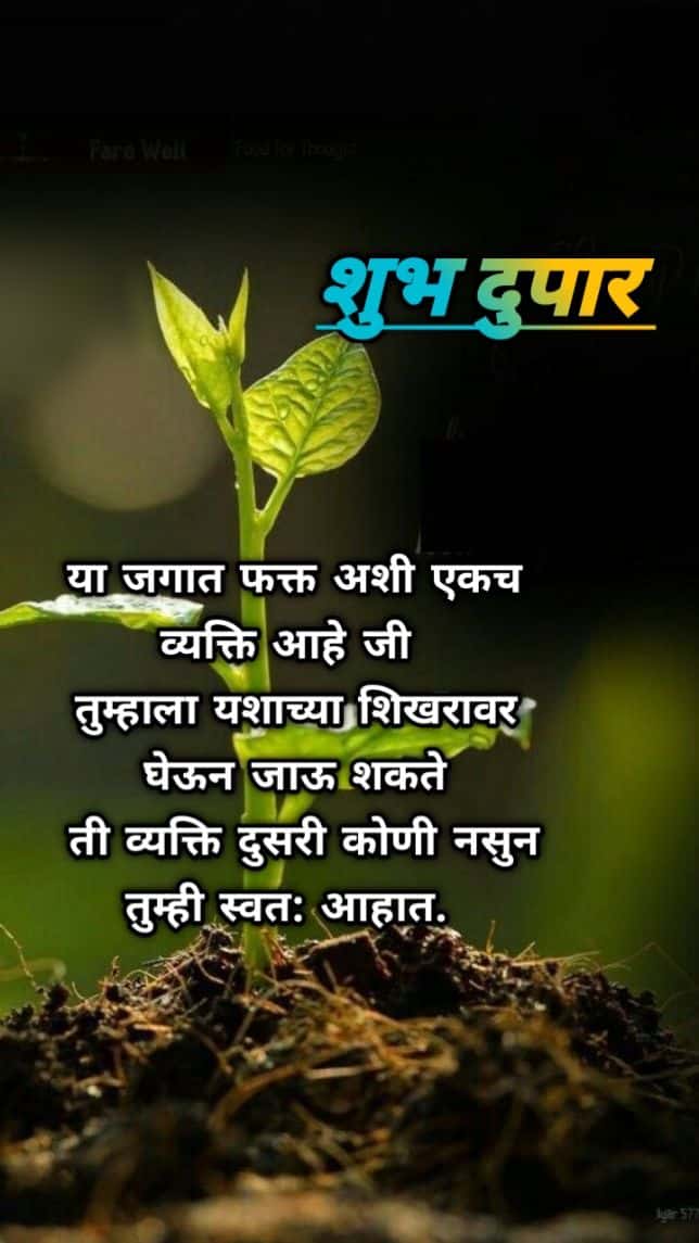 good afternoon marathi quotes