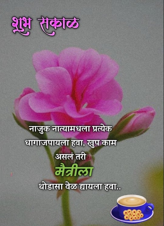Good Morning Friends Marathi, Good Morning Friendship Quotes In Marathi