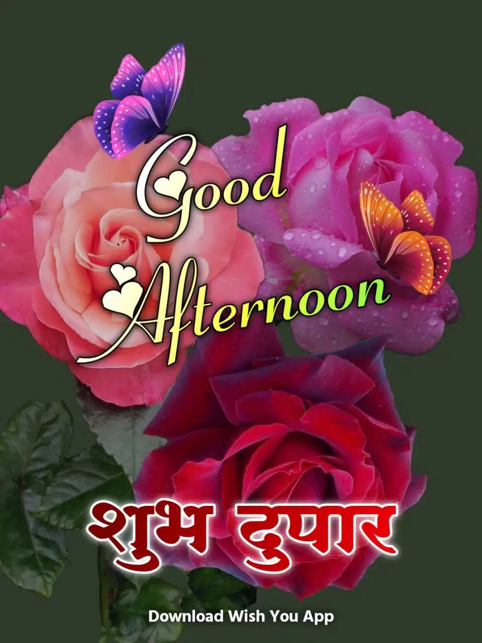 शुभ दुपार good afternoon marathi