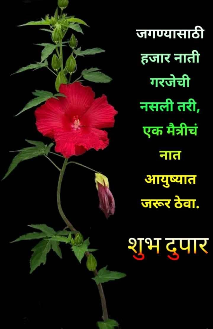 Good Afternoon In Marathi SMS