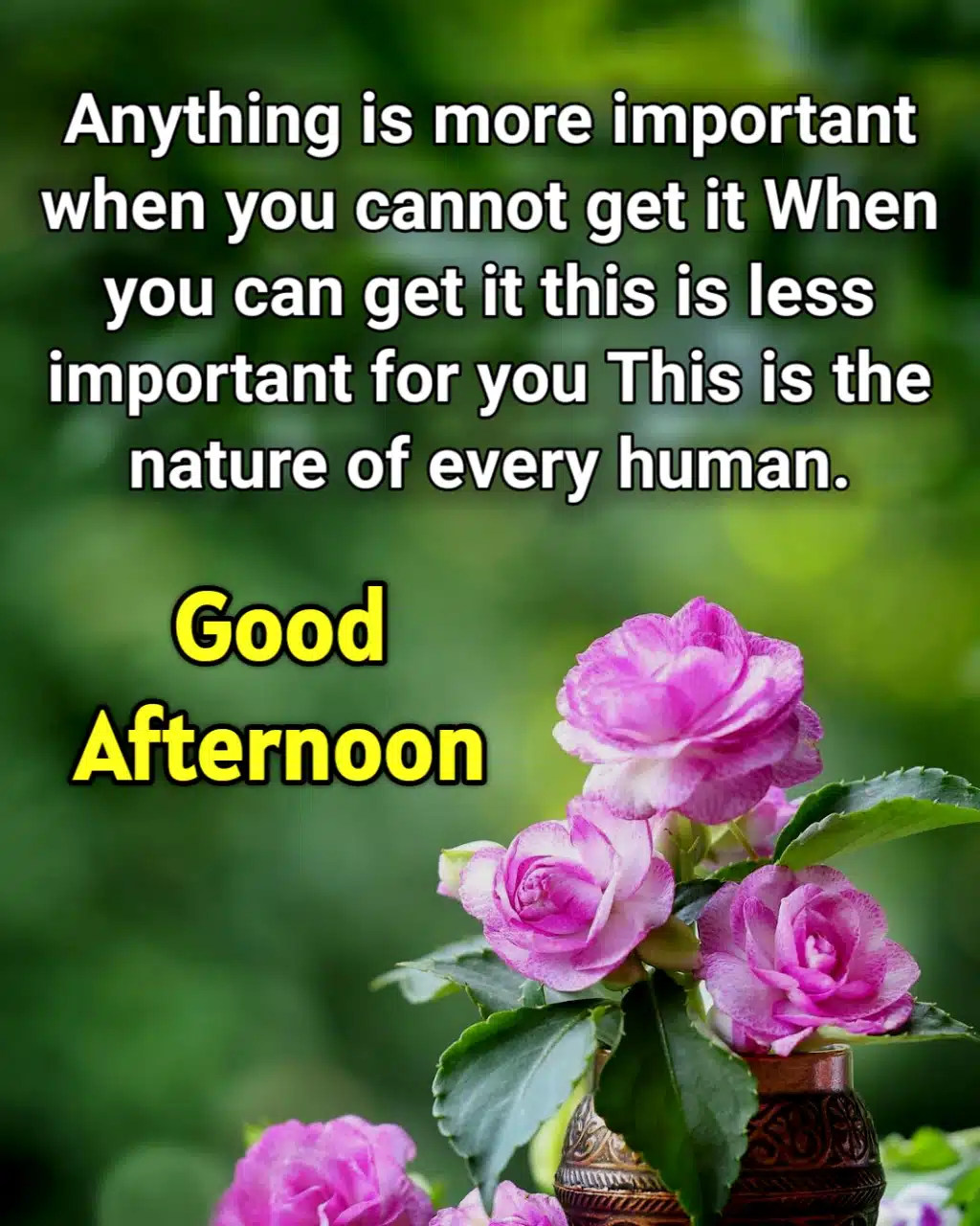 Good Afternoon Message ()