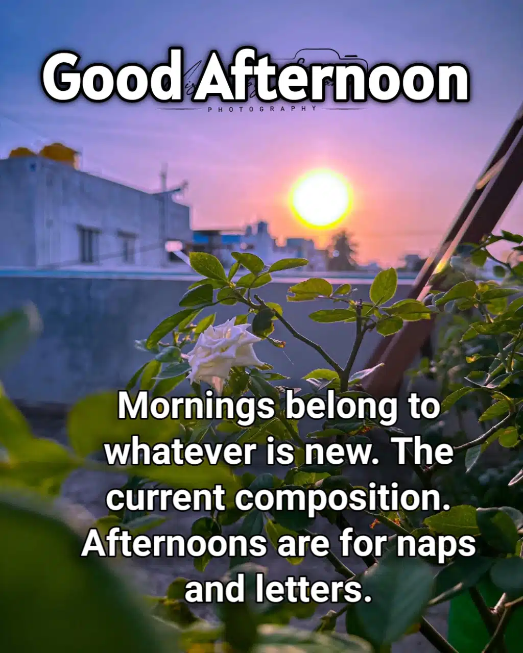 Good Afternoon Messages ()