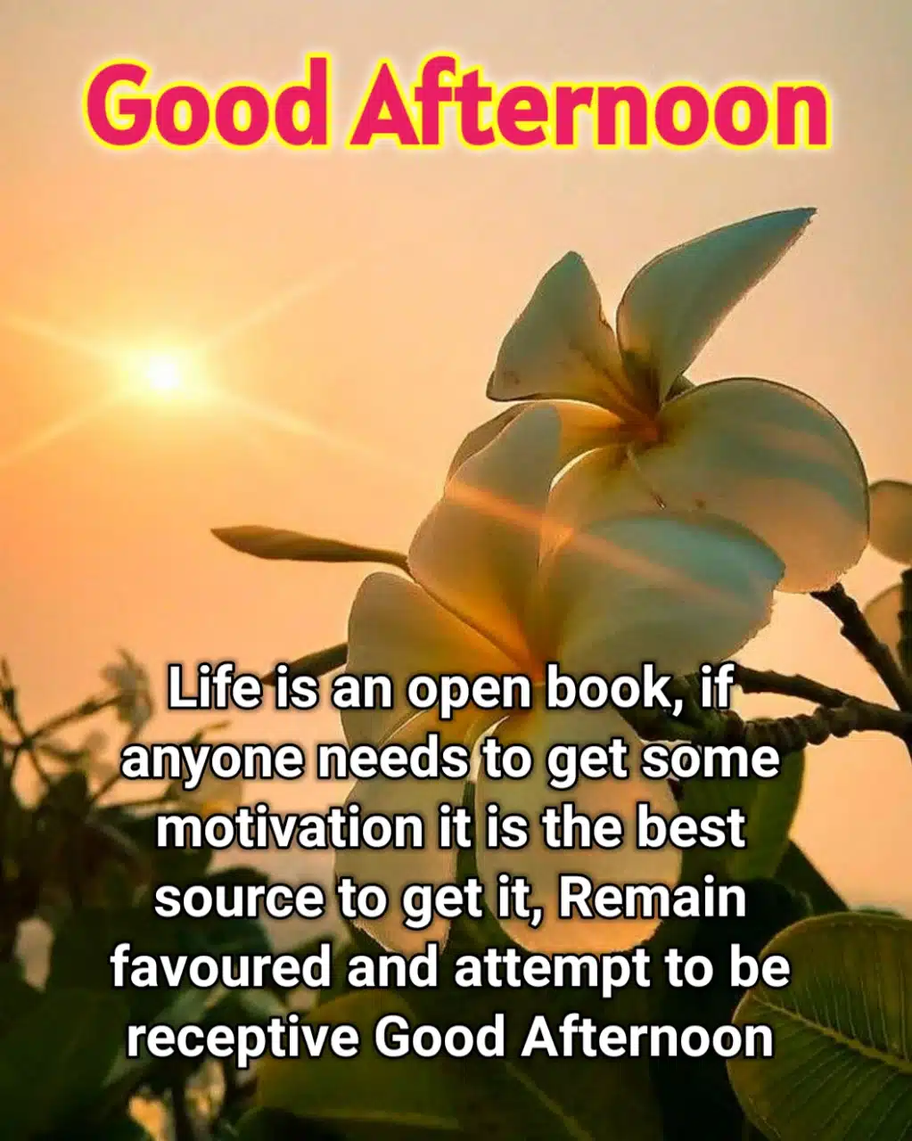 Good Afternoon Quotes ()